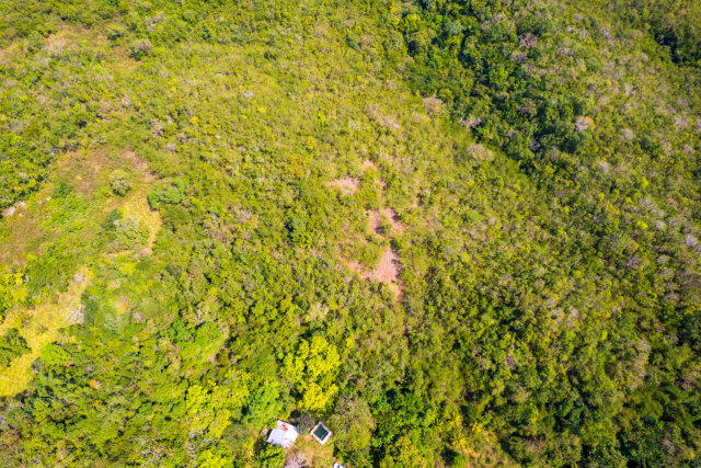 John Dandy, Four Paths: Just Over 10 Acres Of Land