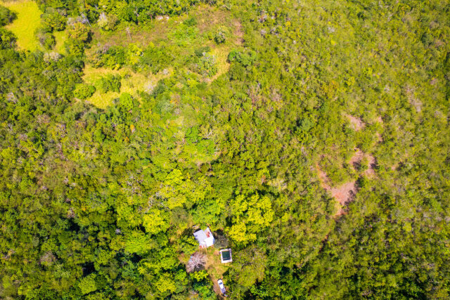 John Dandy, Four Paths: Just Over 10 Acres Of Land