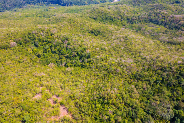 John Dandy, Four Paths: Just Over 10 Acres Of Land