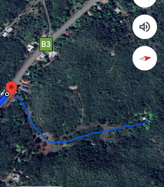 John Dandy, Four Paths: Just Over 10 Acres Of Land