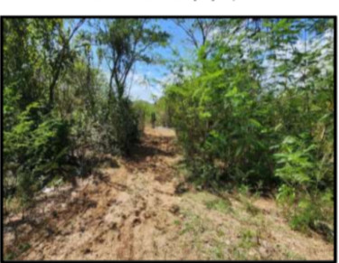 24 Acres Land Denbigh