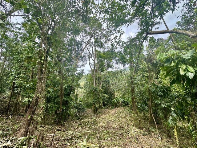 Over Two And Half Acres Of Land