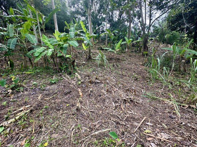 Over Two And Half Acres Of Land