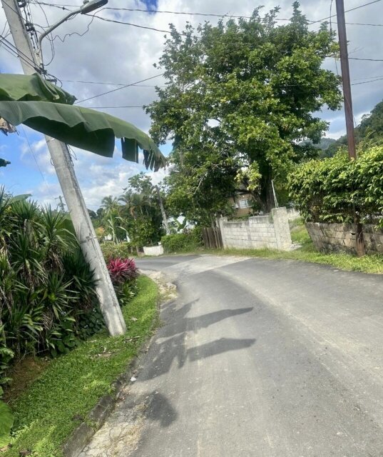 Over Two And Half Acres Of Land