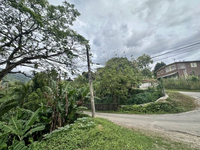 Over Two And Half Acres Of Land