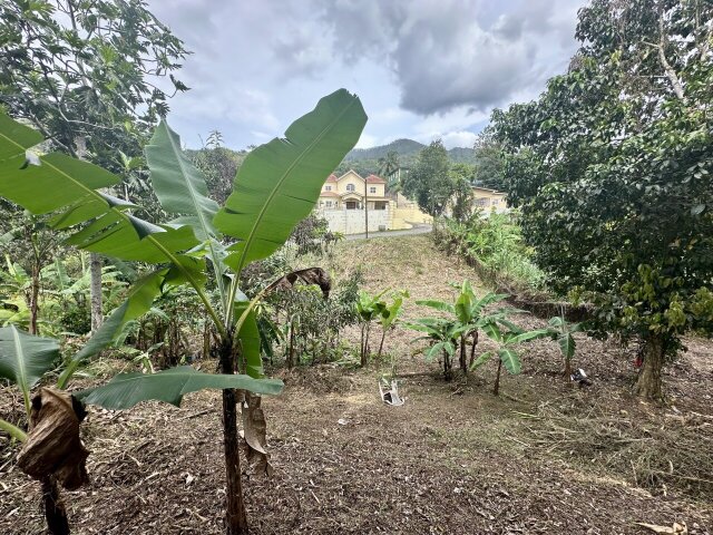 Over Two And Half Acres Of Land