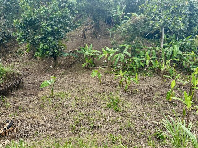 Over Two And Half Acres Of Land