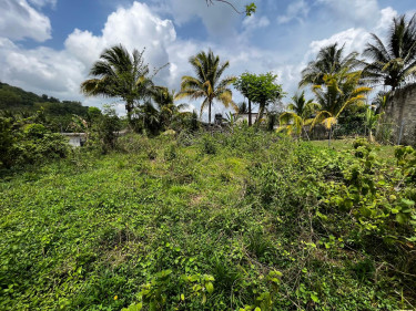 Lovely Flat Land Nested In The Quiet Bethel Town Land Bethel Town