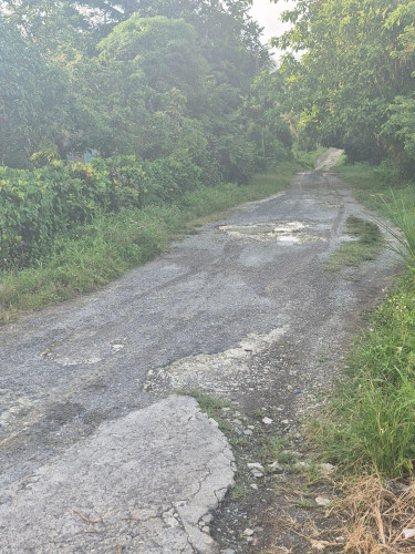 Sale Of Residential Lot In Downers Hope,Portland