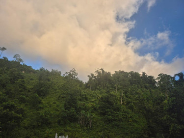 Sale Of Residential Lot In Downers Hope,Portland