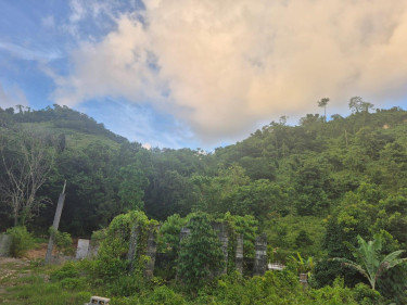 Sale Of Residential Lot In Downers Hope,Portland