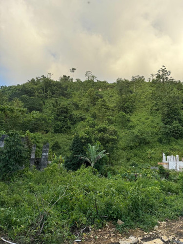 Sale Of Residential Lot In Downers Hope,Portland