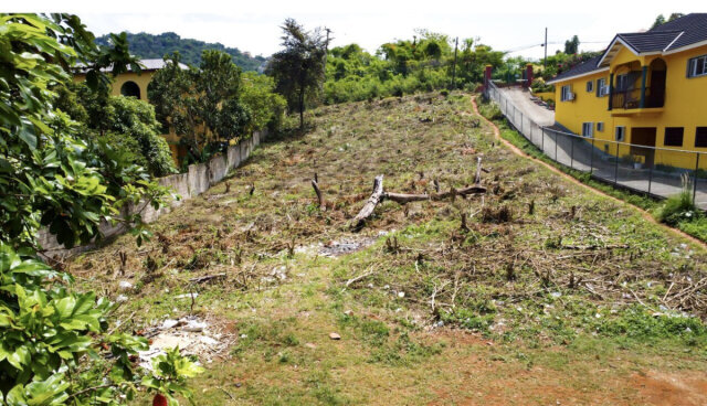 14520 Sq Ft Lot For Sale Red Hills