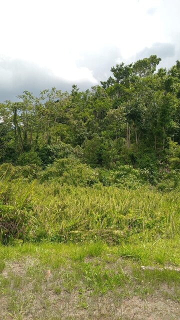 73 Acres Of  Land For Sale