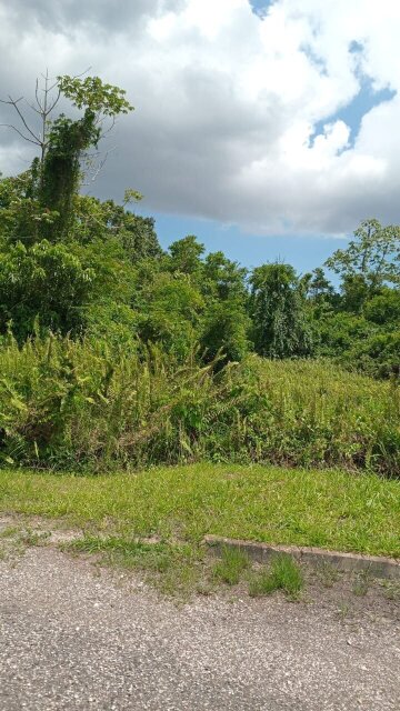 73 Acres Of  Land For Sale Land ULSTER SPRING