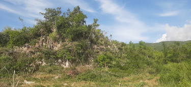 3/4 Of An Acre Land (3037..870 Sq. Metres)