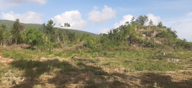 3/4 Of An Acre Land (3037..870 Sq. Metres)