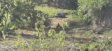 3/4 Of An Acre Land (3037..870 Sq. Metres)