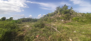 3/4 Of An Acre Land (3037..870 Sq. Metres) Land New Forest/ Sea Air