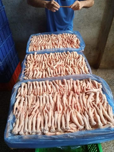 Wholesale Frozen Chicken Feet