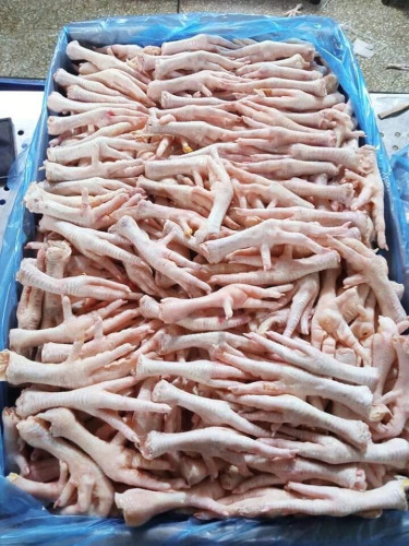 Wholesale Frozen Chicken Feet Meat California