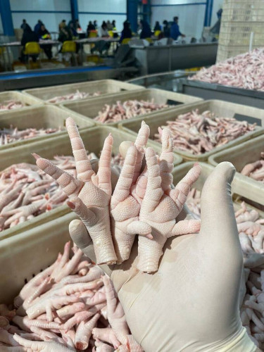 Wholesale Frozen Chicken Feet