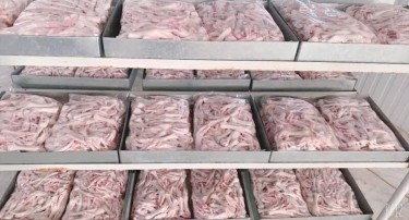 Wholesale Frozen Chicken Feet