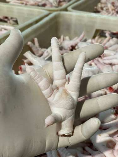Wholesale Frozen Chicken Feet