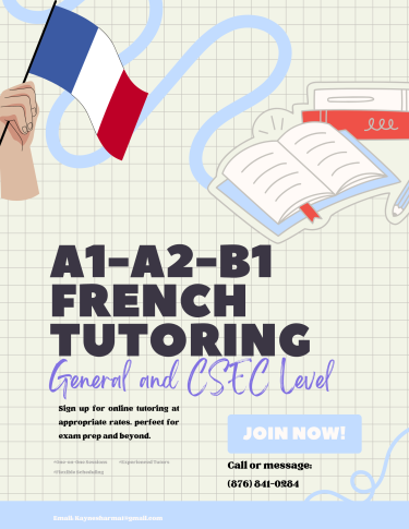 French Tutor! Beginner General, CSEC General Schools Any Parish