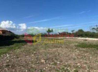 LOT FOR SALE IN CLARENDON Land RACE COURSE