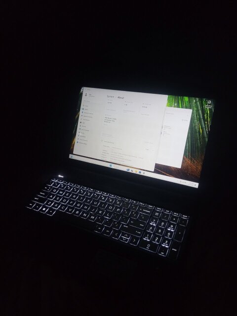 HP Pavilion 15-cw1xxx