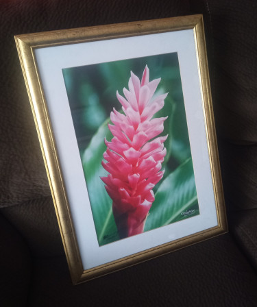 Wall Art For Sale Decorations Constant Spring