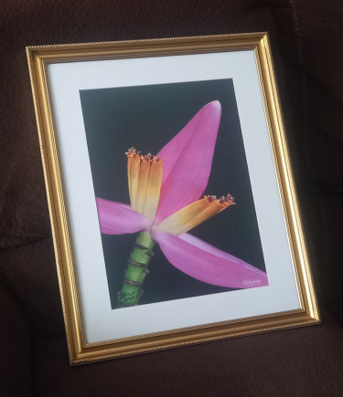 Wall Art For Sale