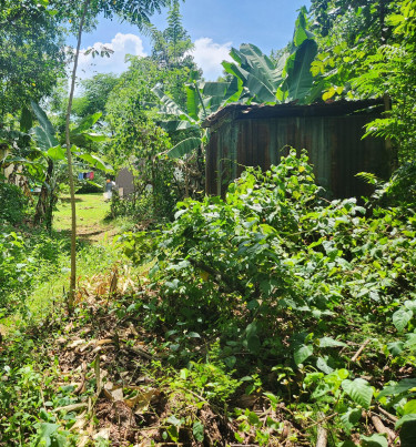 3 Bedroom House Available For Sale In St.Elizabeth