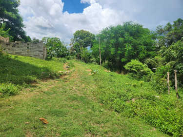 3 Bedroom House Available For Sale In St.Elizabeth