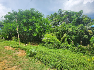 3 Bedroom House Available For Sale In St.Elizabeth