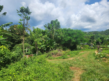 3 Bedroom House Available For Sale In St.Elizabeth Houses Balaclava