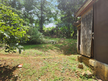 3 Bedroom House Available For Sale In St.Elizabeth