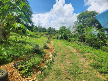 3 Bedroom House Available For Sale In St.Elizabeth
