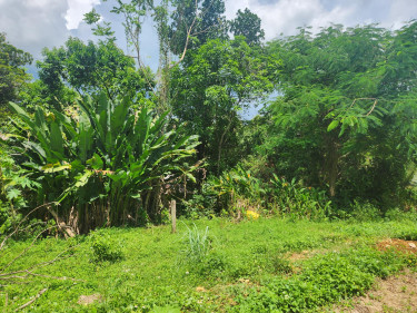 3 Bedroom House Available For Sale In St.Elizabeth