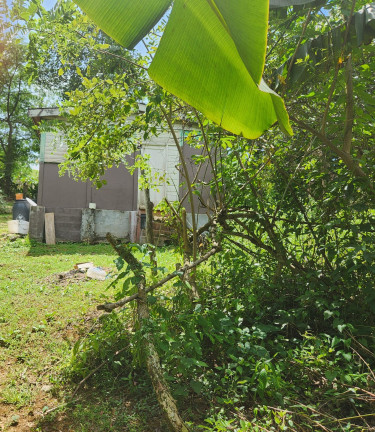 3 Bedroom House Available For Sale In St.Elizabeth