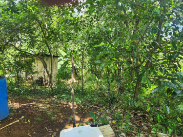 3 Bedroom House Available For Sale In St.Elizabeth