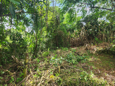 3 Bedroom House Available For Sale In St.Elizabeth