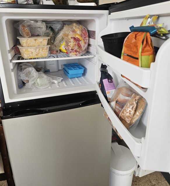 Mastertech 11.5 Cu.Ft. Refrigerator HD-423FSE