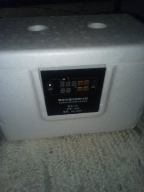 USB Incubator Other Market Red Hills