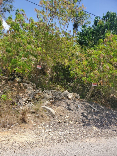 Service Lot  4500sq  Land Belair Runaway Bay Across From Bahia Principle Hotel 