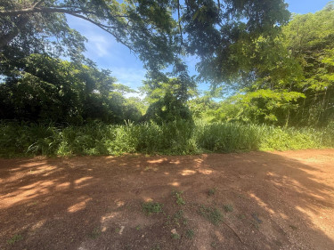 0.6 Acres, Duncan’s Bay, Trelawny 