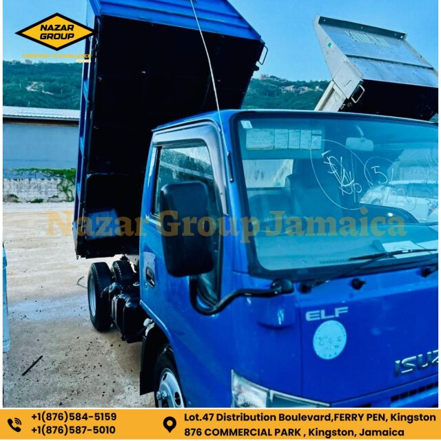 Isuzu Elf Truck 2010