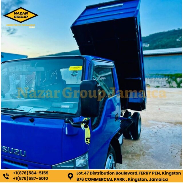 Isuzu Elf Truck 2010