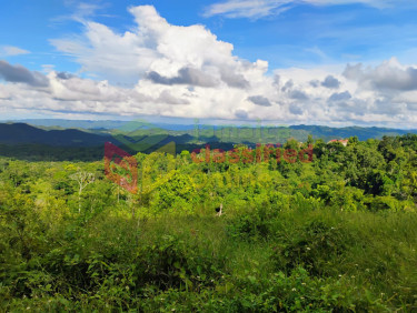 1/2 Acre In Holly Hill